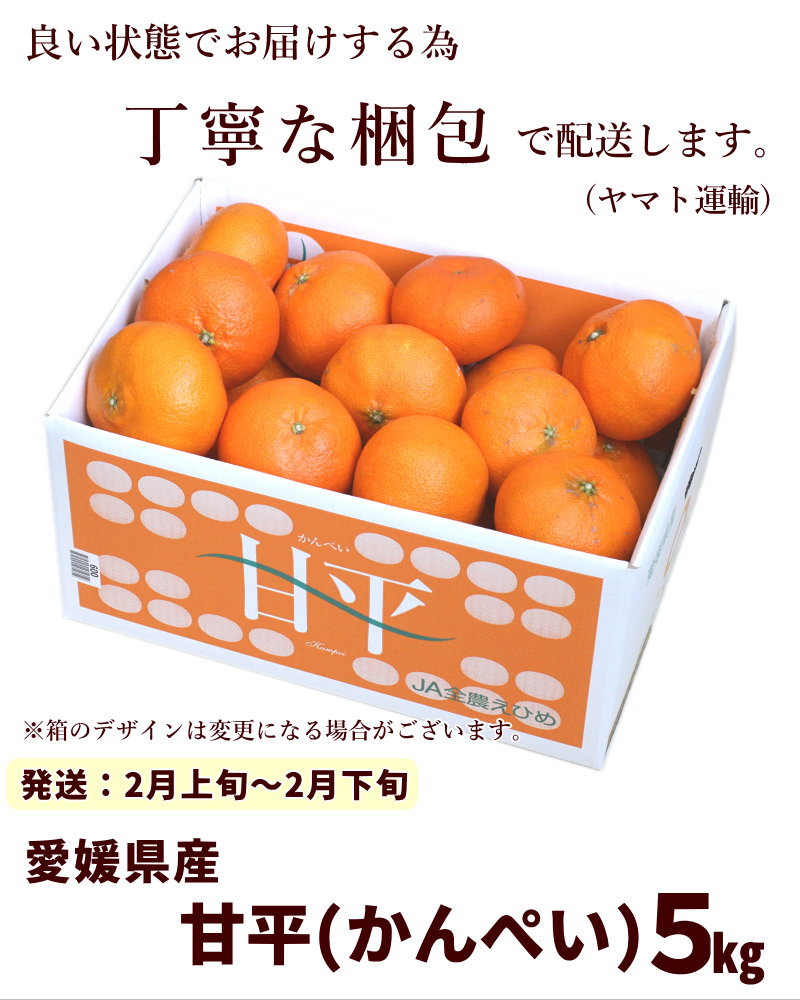 愛媛県産 みかん 甘平(かんぺい) 5kg 秀クラス L～4L (16～30個） | 00