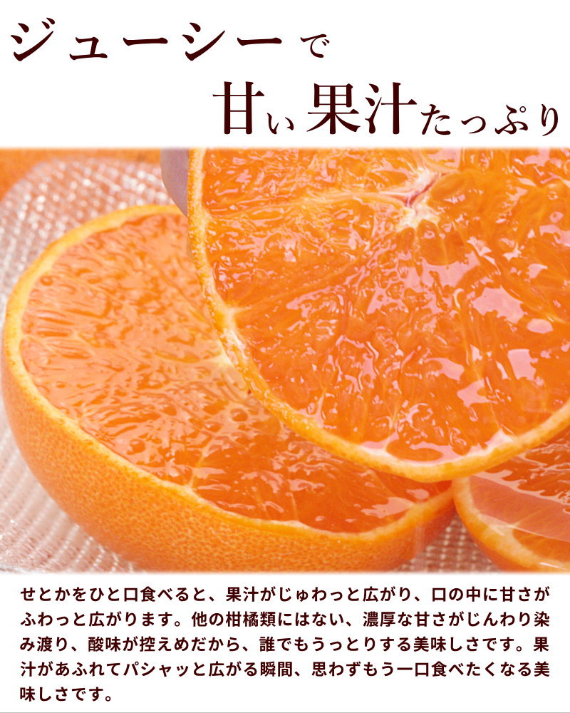 新鮮だけど、訳あり。。。 訳あり！愛媛県宇和島産みかん」5kg(5kg): 野菜・果物【公式】テレビ