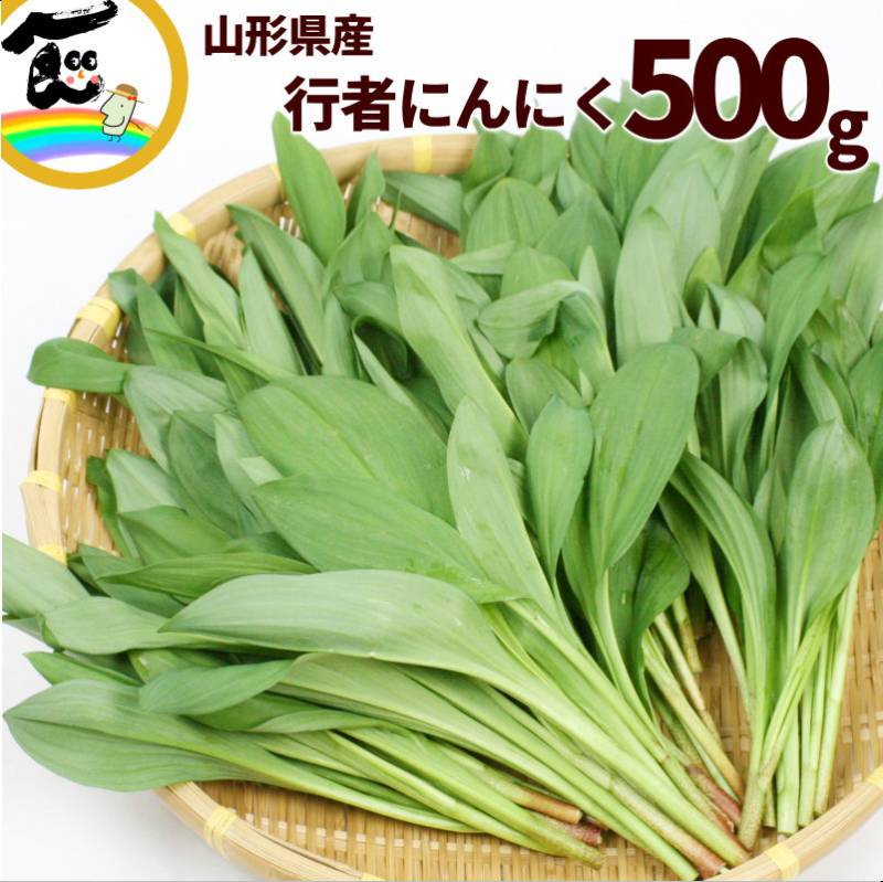 SALE/通常4,680円】山形県産 行者にんにく (栽培もの) 500g ぎょうじゃ