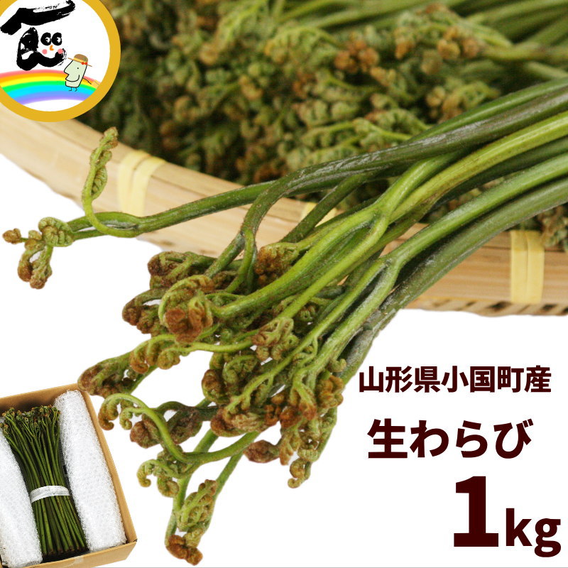 SALE/通常4,380円】山形県産 山菜 天然生わらび 1kg あく抜き用重曹付