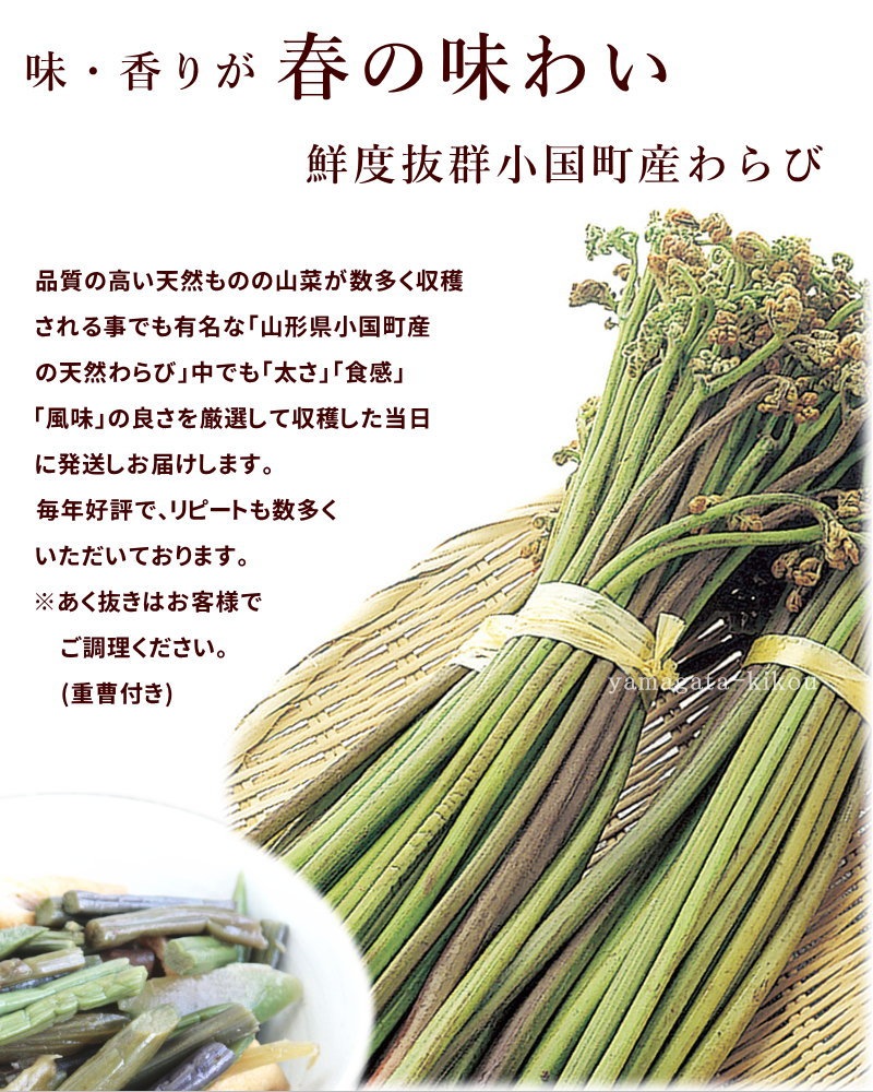 SALE/通常4,380円】山形県産 山菜 天然生わらび 1kg あく抜き用重曹付