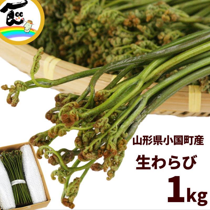 SALE/通常4,380円】山形県産 山菜 天然生わらび 1kg あく抜き用重曹付