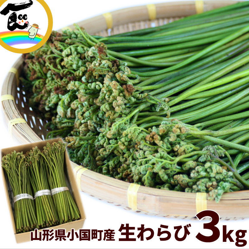 SALE/通常6,900円】山形県産 山菜 天然生わらび 3kg あく抜き用重曹付