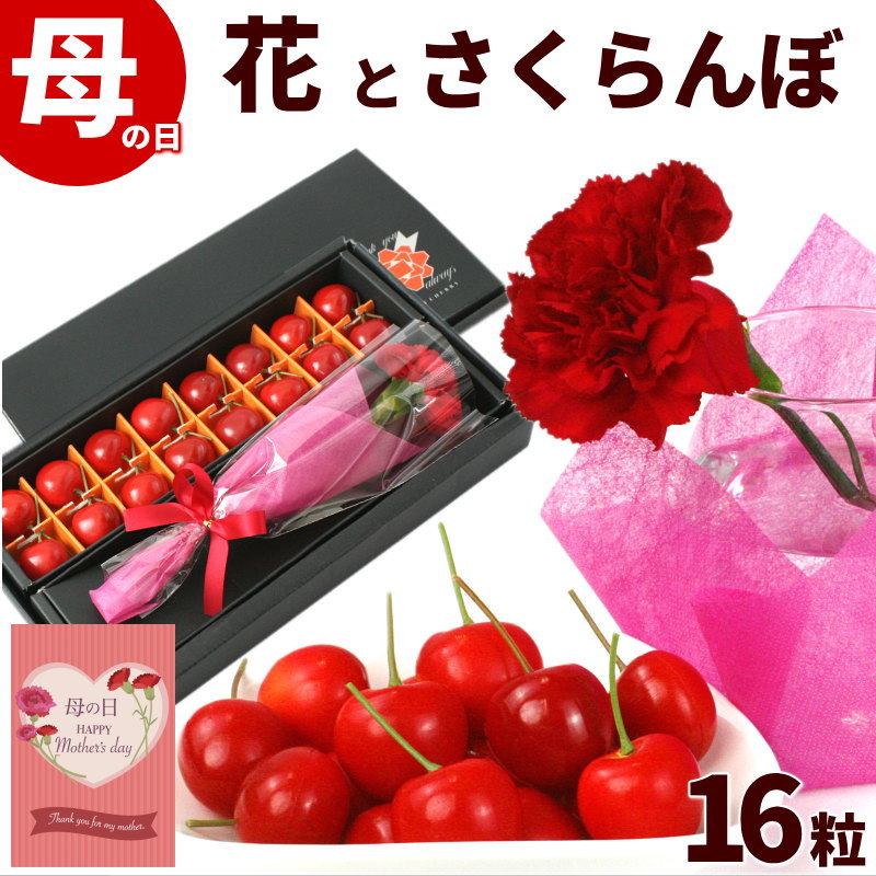母の日ギフト さくらんぼと生花カーネーション | 02_さくらんぼ | 山形