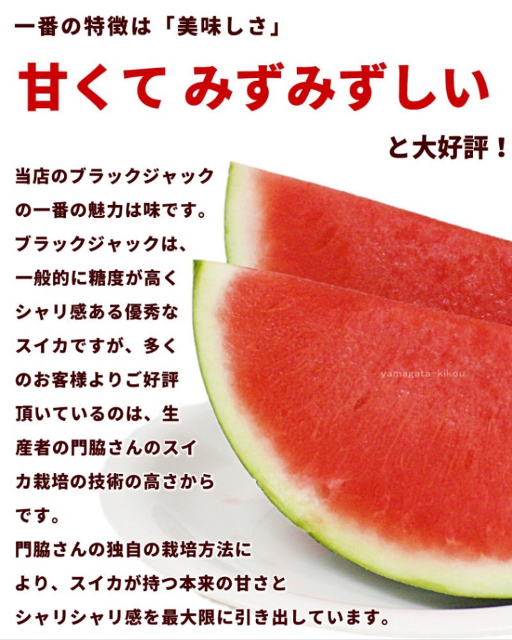 山形県産 種なし黒皮すいか ブラックジャック 大玉（約7kg） 1玉 | 05_