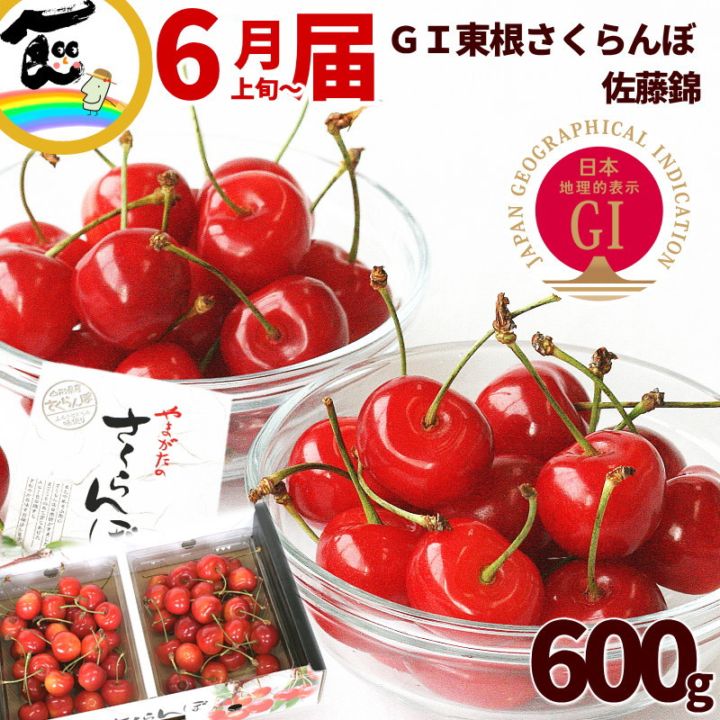 山形県産さくらんぼ 佐藤錦 GI東根さくらんぼ 600g (300g×2P) 秀品 L