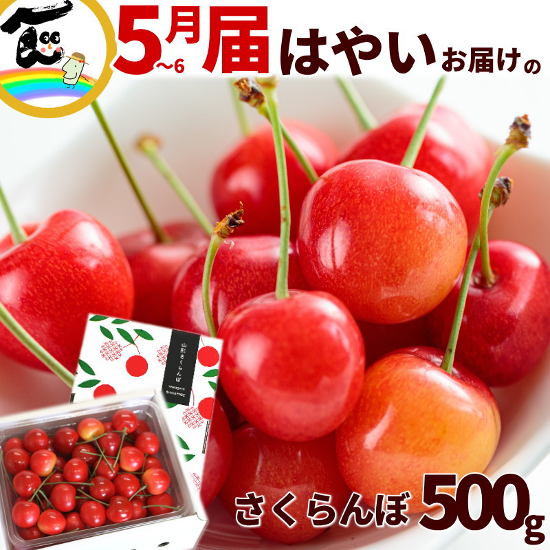 山形県産 早いお届けのさくらんぼ 佐藤錦 秀品 L～2Lサイズ混合 500g