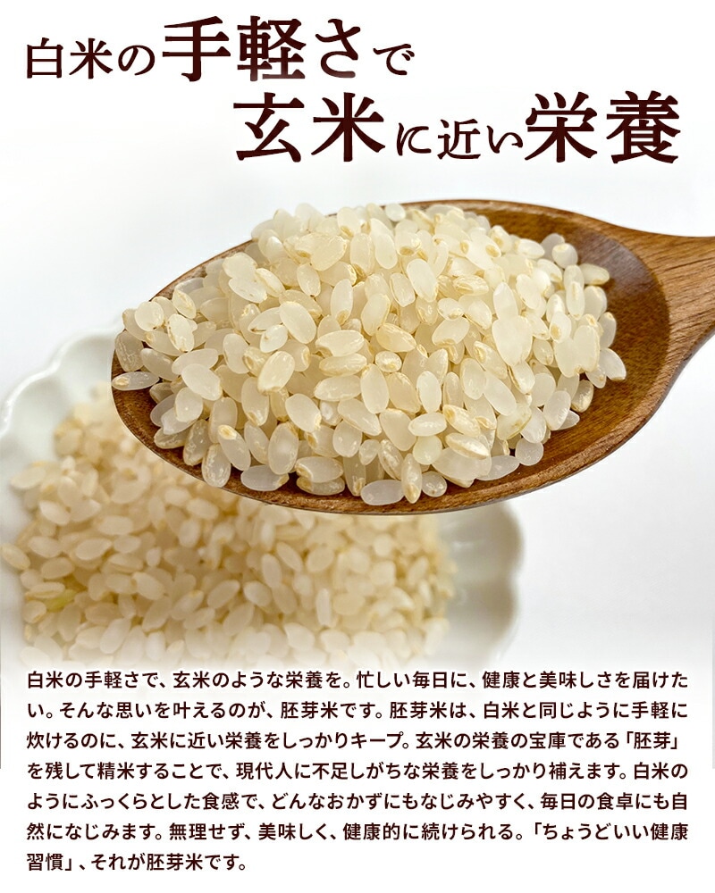 令和7年度産】胚芽精米 BG無洗米 はえぬき 2kg×5袋 計10kg | 13_米