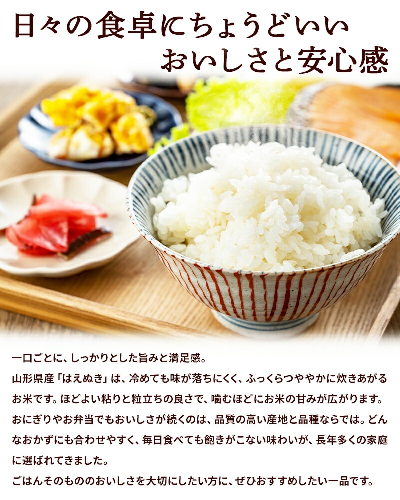 令和7年度産】胚芽精米 BG無洗米 はえぬき 2kg×5袋 計10kg | 13_米