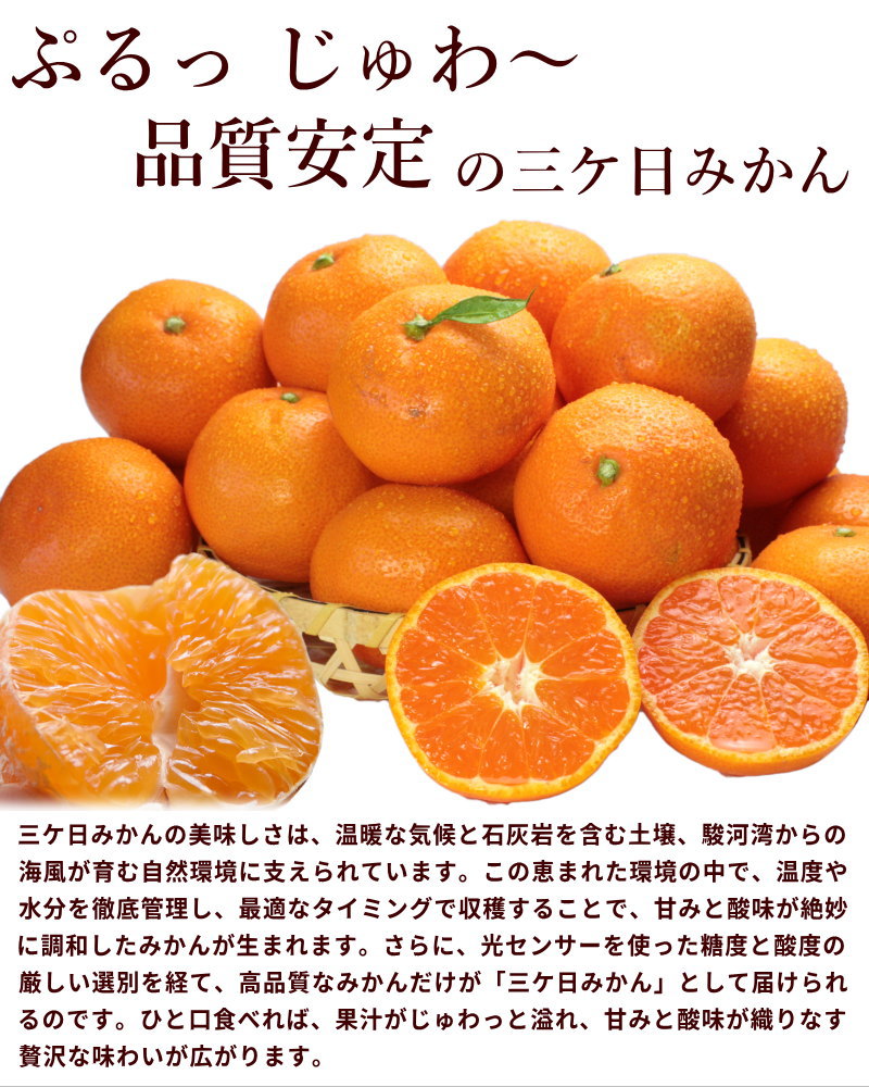 静岡県産 三ヶ日みかん 秀品 2Lサイズ 3.5kg | 00_みかん | 山形