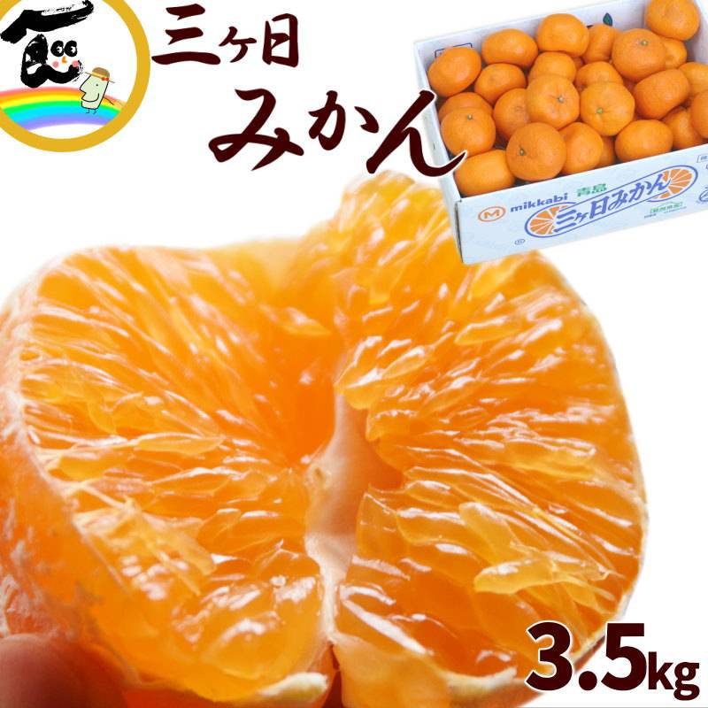 静岡県産 三ヶ日みかん 秀品 2Lサイズ 3.5kg | 00_みかん | 山形