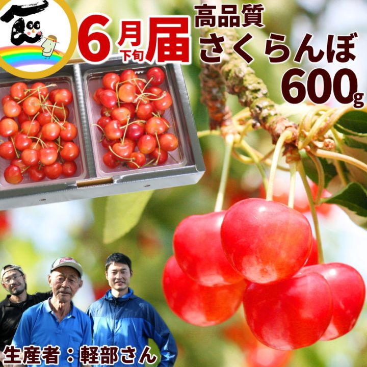 SALE/10％引き】山形県産 軽部さくらんぼ園 佐藤錦または紅秀峰 600g