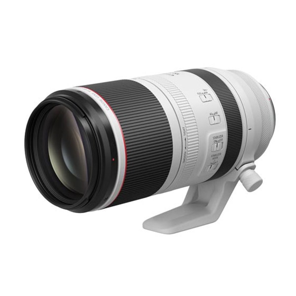 ����Υ� RF100-500mm F4.5-7.1 L IS USM