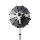 HARLOWE ������������å���꡼�����եȥܥå�����60�ѡ�