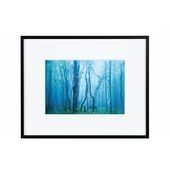 ���󥳡� �����꡼ 2L �֥�å�/�ۥ磻�� AGY-2L-BW