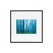 ���󥳡� �����꡼ 2L�������� �֥�å�/�ۥ磻�� AGY-2LSQ-BW