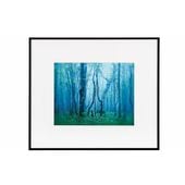 ���󥳡� �����꡼ 6�� �֥�å�/�ۥ磻�� AGY-6-BW