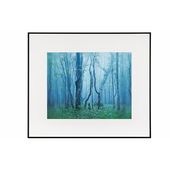 ���󥳡� �����꡼ Ⱦ�� �֥�å�/�ۥ磻�� AGY-H-BW