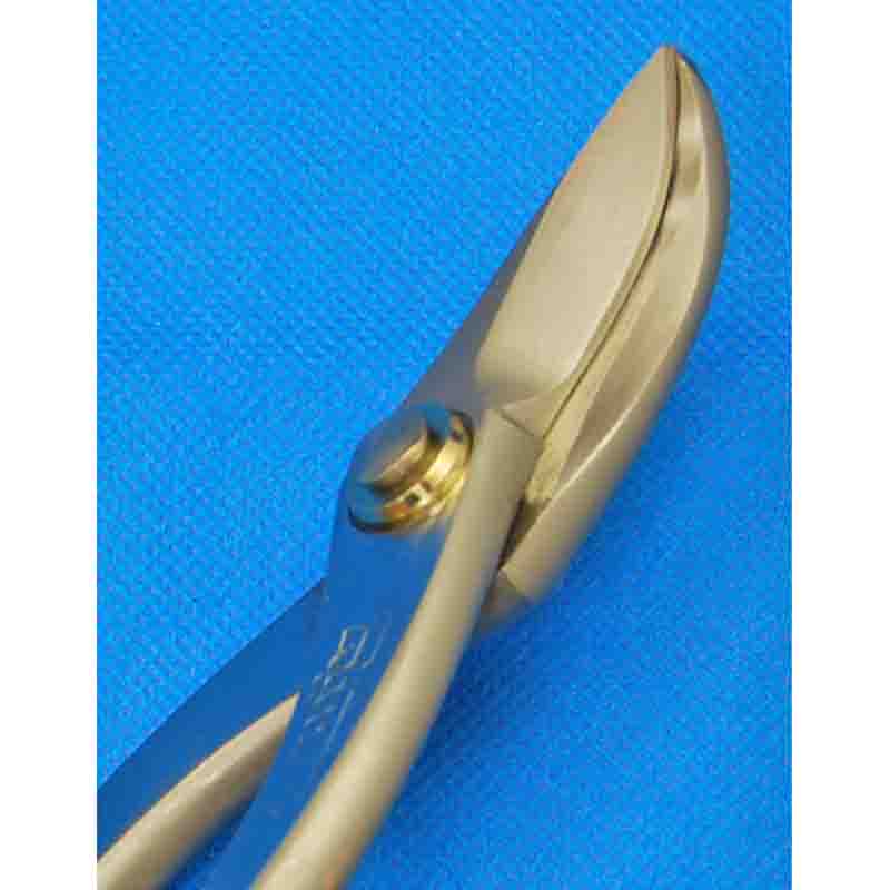 BIGG CUT オールステンレス 種光 エグリ 楽天市場】種光 オール