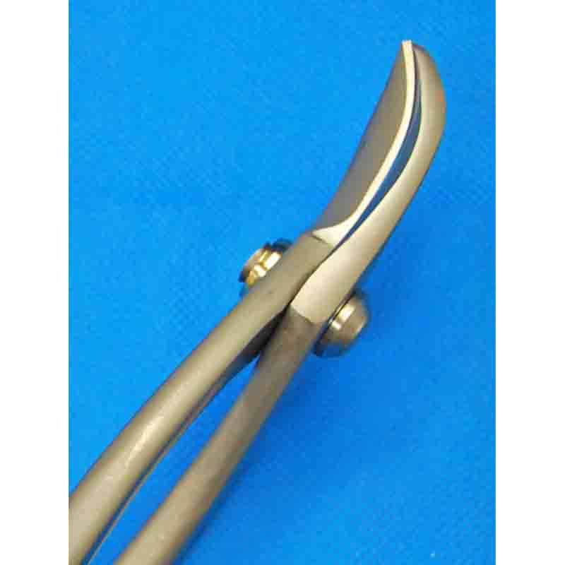 種光・たて切りハサミ 種光 オールステン金切鋏 ビックカット 抉り（エグリ刃） 210mm