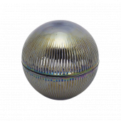 ���Τ�Ħ �ݷ���ʪ(�᥿��)