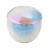 (��)�饹�����󿧿� �̤ष(��)P.B