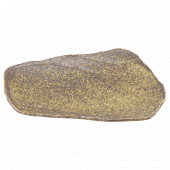 ��ư ������ ��ʪ��