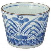 ����� ���������