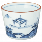 ���� ���������