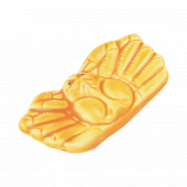 ���� Ȥ��