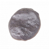 (��)������(�о�)Ȥ��