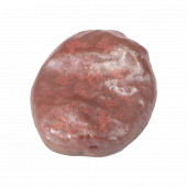 (��)Ŵ��(�о�)Ȥ��