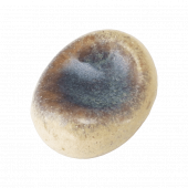 ���Τջ���ݷ�Ȥ��