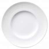 ���饷�� �ץ졼�� 20cm�ǥ�����