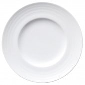 ���饷�� �ץ졼�� 24cm�ߡ���