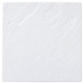 ��ƥ� 24cm���������ץ졼��(�ۥ磻��)