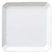 ����� 20cmȬ�ѥ��������ץ졼��