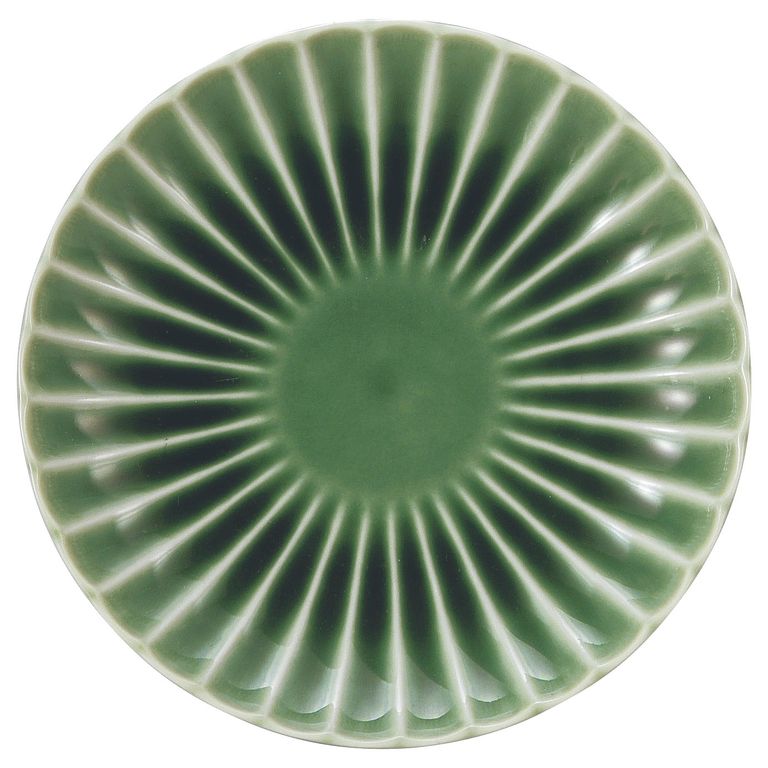 ������ �� 14.5cm�ݻ�