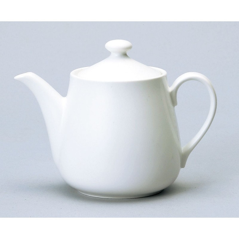 Dia Ceram �ۥ磻�� �ݥå�(��)