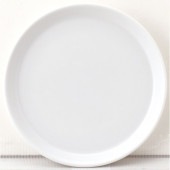 �ץ�å� �ۥ磻�� 16cm��