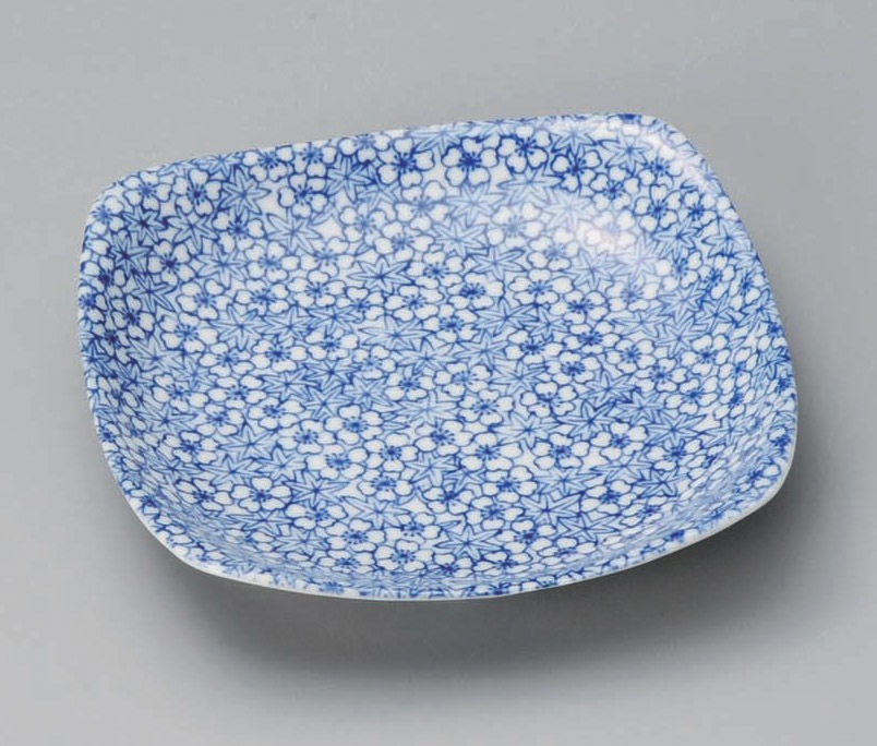 �ս� ����5.5��