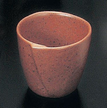 (��)NR���祳 �������å�(��)