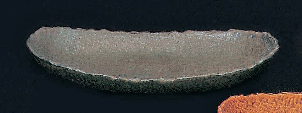 (��)NR�֥�å� 10.0�ʱߥܡ���(��)