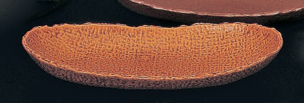 (��)NR������� 10.0�ʱߥܡ���(��)