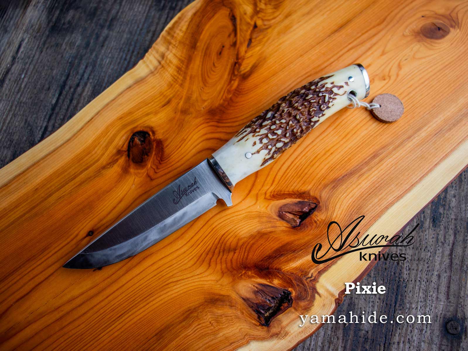 ベグニオン皇帝　サナキSR＋　箔押し ベグニオン皇帝 サナキSR＋ 箔押し ベグニオン皇帝サナキSR＋箔押し