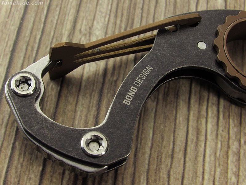 コスタリカ産　チャコールキンイロコガネ　24mm コスタリカ産 チャコールキンイロコガネ 24mm コスタリカ産 チャコール