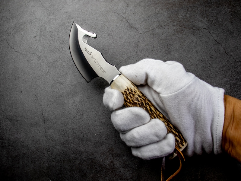 ムエラ ラクーン スタッグハンドル 鹿角 MUELA RACCOON スキナーナイフ