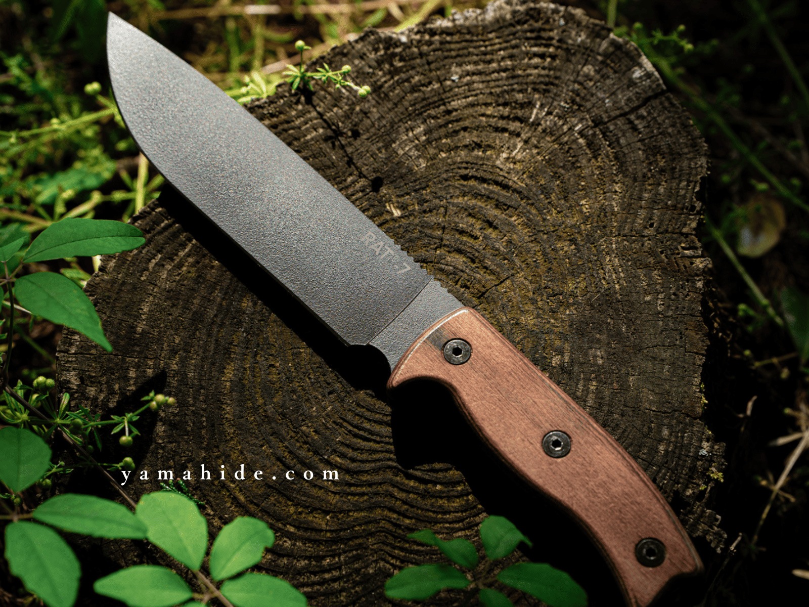 オンタリオ ラット7 1075炭素鋼 ウッドハンドル ONTARIO RAT-7 ON8651