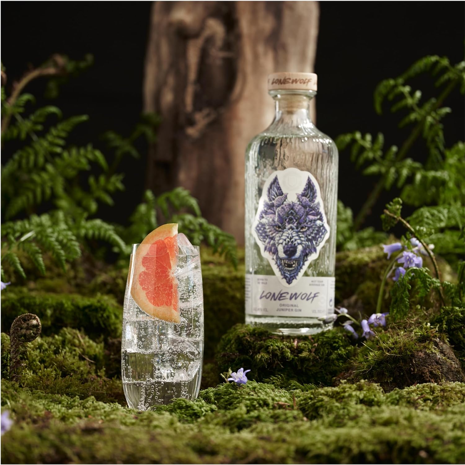 �����󥦥�� ���� 40�� 700ml �֥�塼�ɥå���Υ���