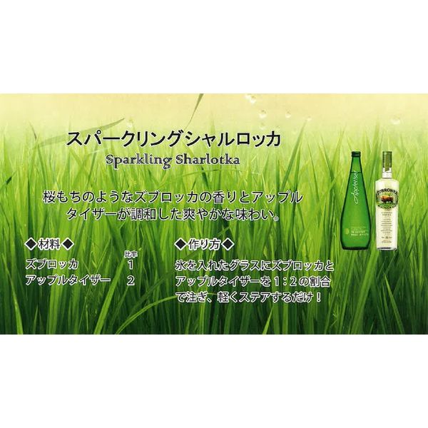 �ڥ���åȥ��饹�ա� ���֥��å� �Х����󥰥饹 �����å� 37.5�� 700ml